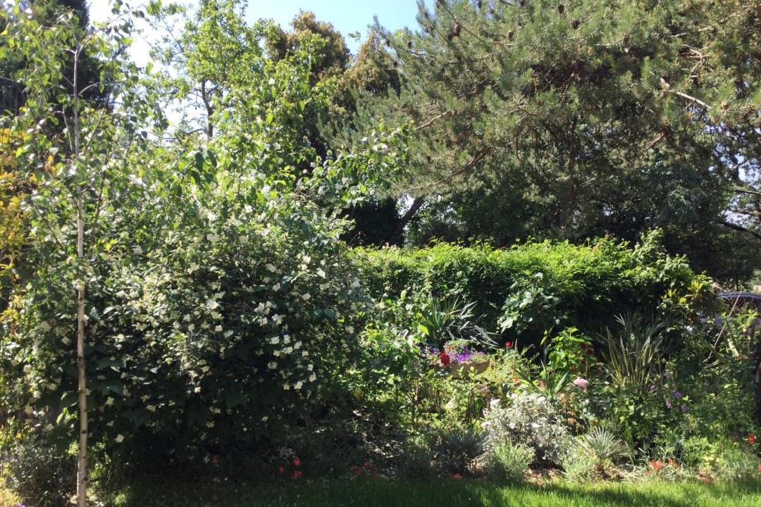Photo of Others in La Capelle-et-Masmolene