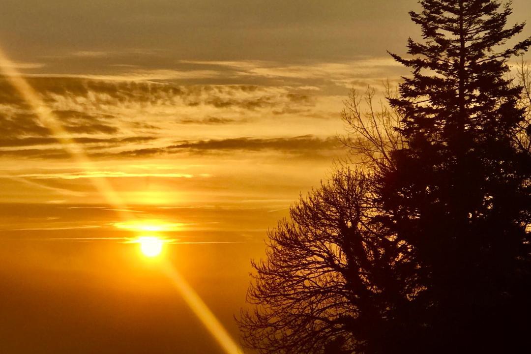 Photo of Others in Feugeres