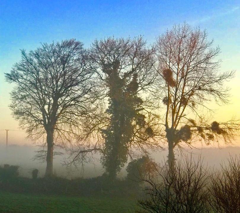 Photo of Others in Feugeres