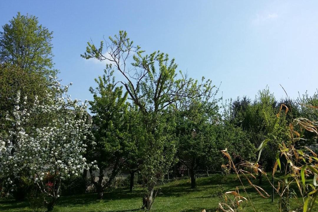 Photo of Outdoor in Paroisse Saint-Augustin-de-Chaux