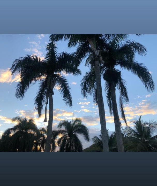 Photo of Others in Las Terrenas