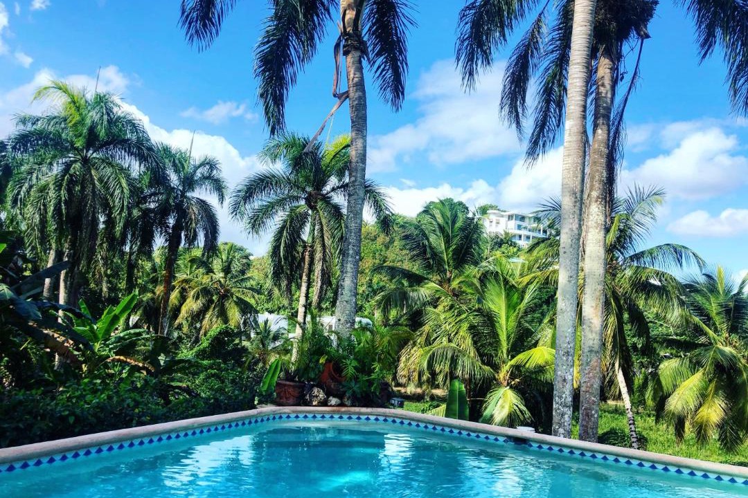 Photo of Others in Las Terrenas