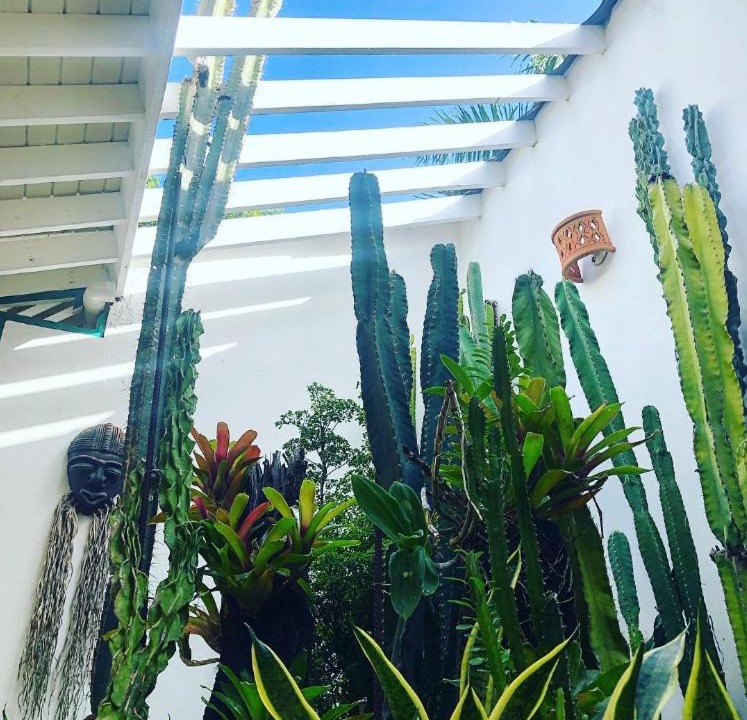 Photo of Others in Las Terrenas