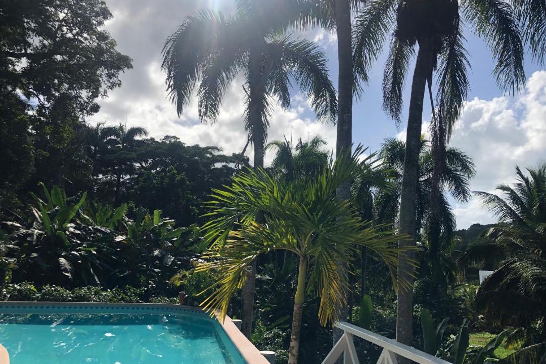 Photo of Others in Las Terrenas