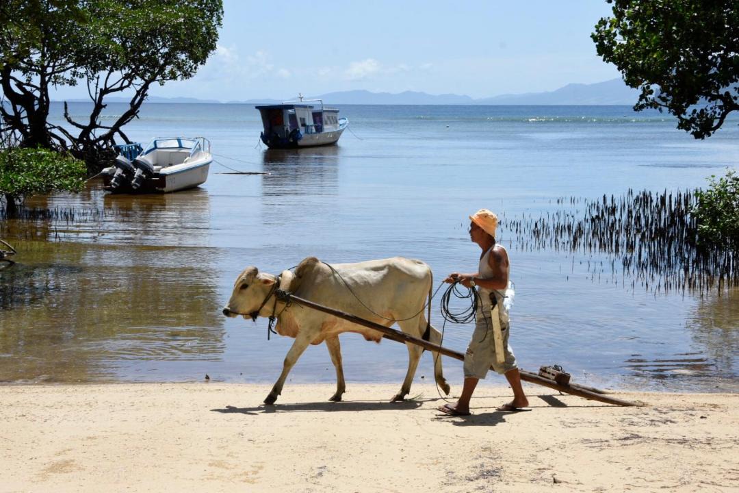 Photo of Outdoor in Bangka Island