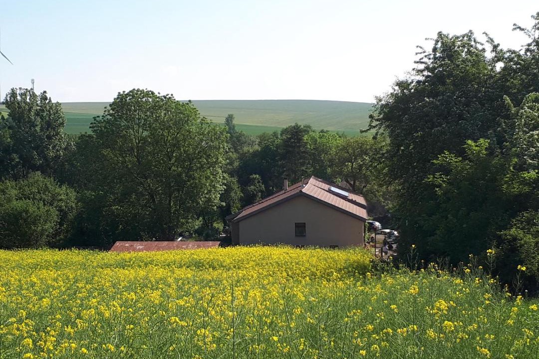 Photo of Others in Raville