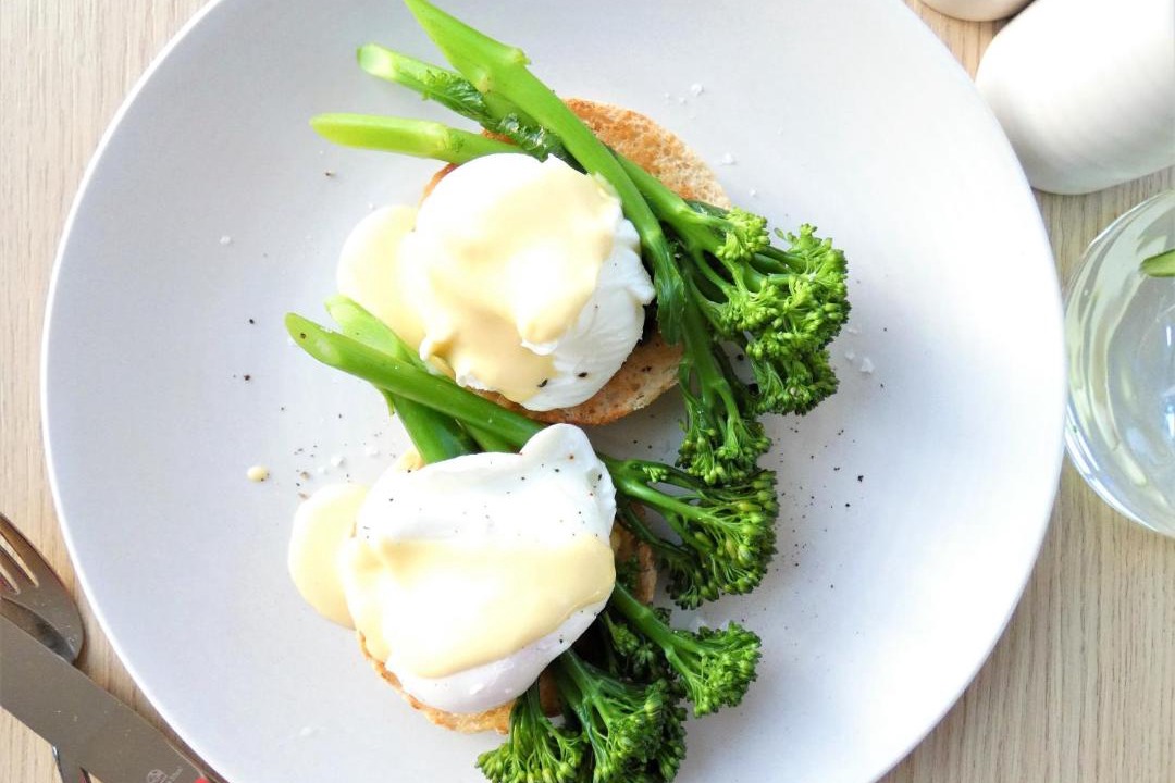 Photo of Others in Bay Horse