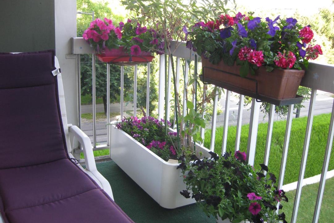 Photo of Others in Montmuzard