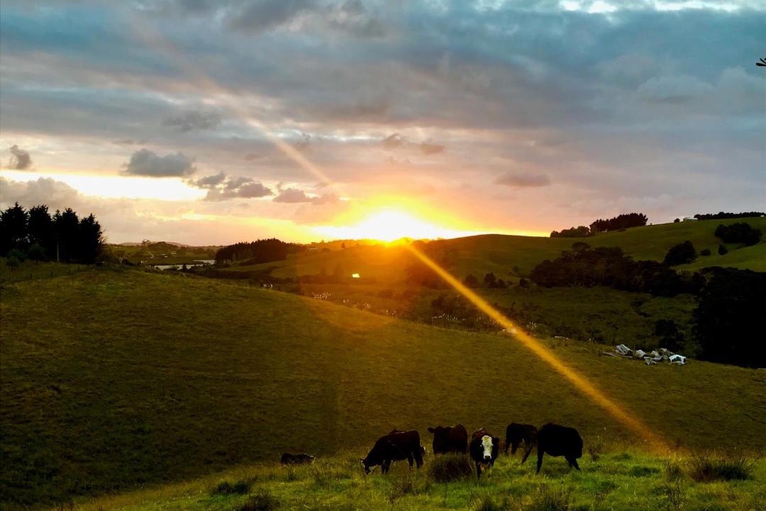 Photo of Outdoor in Warkworth