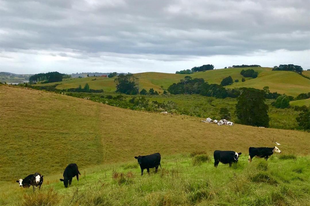 Photo of Outdoor in Warkworth