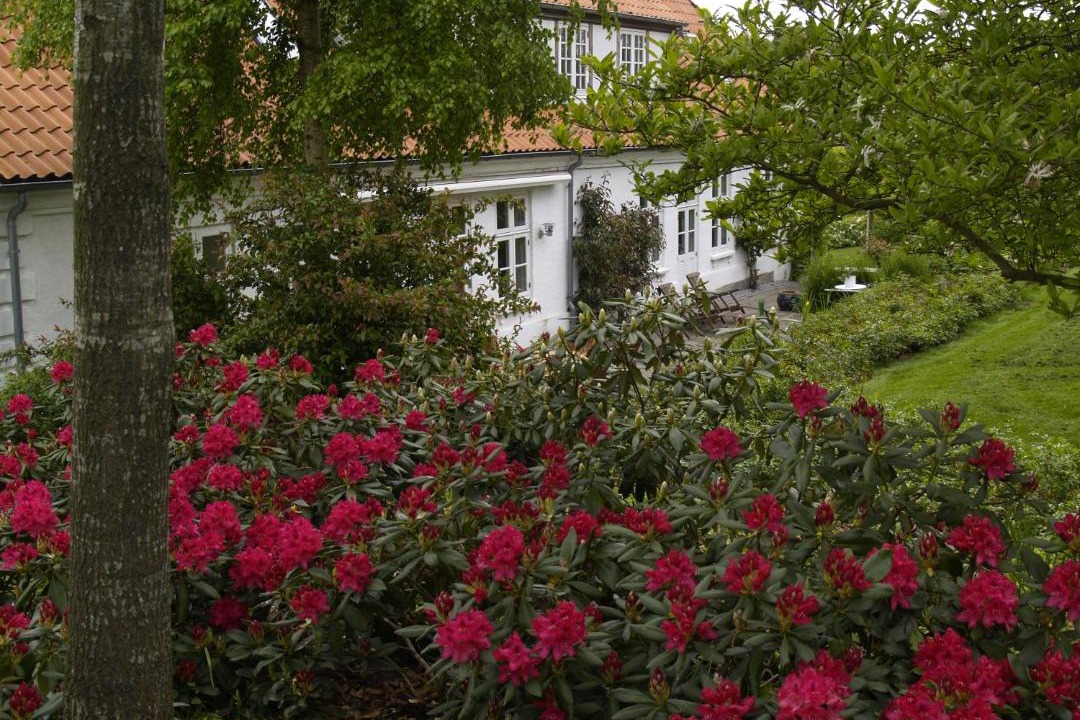 Photo of Others in Bjert