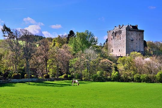 Photo of Others in Gorebridge