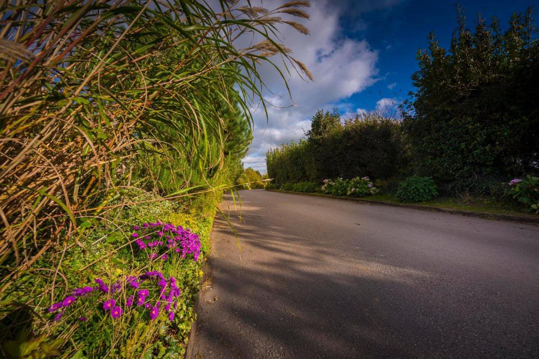 Photo of Outdoor in Bude