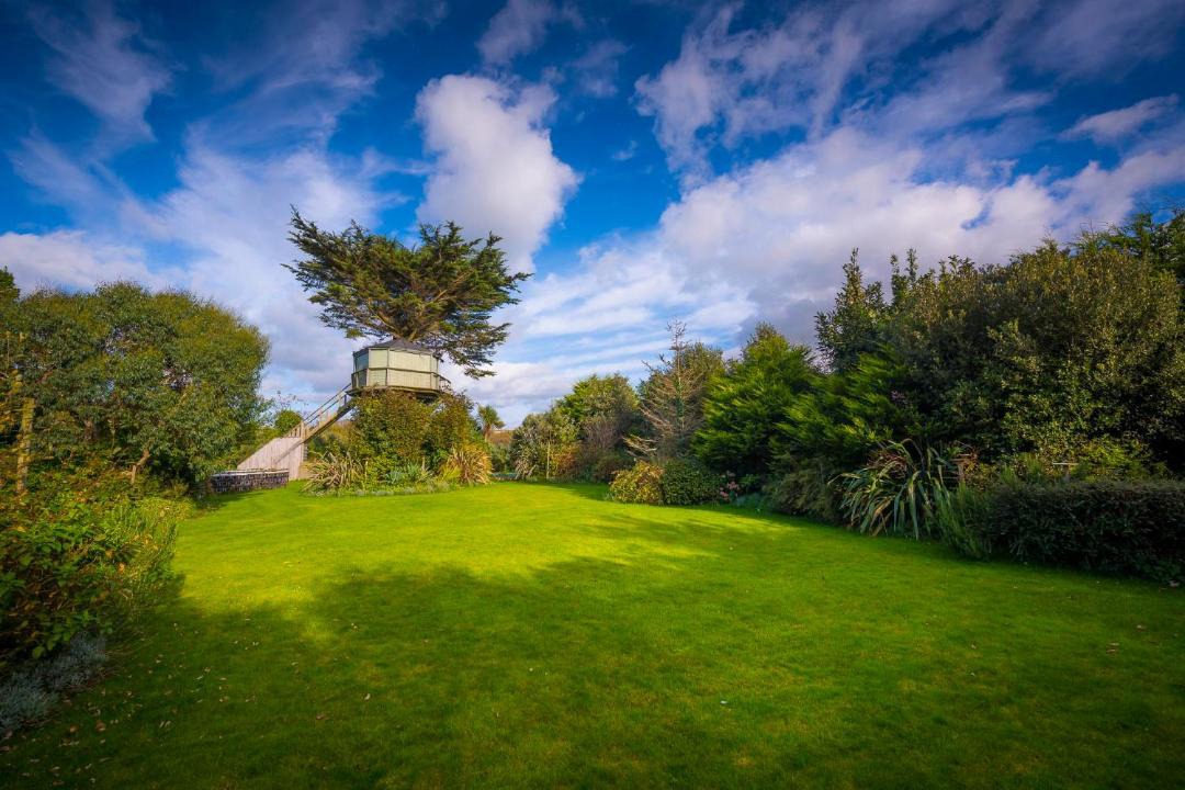 Photo of Others in Bude