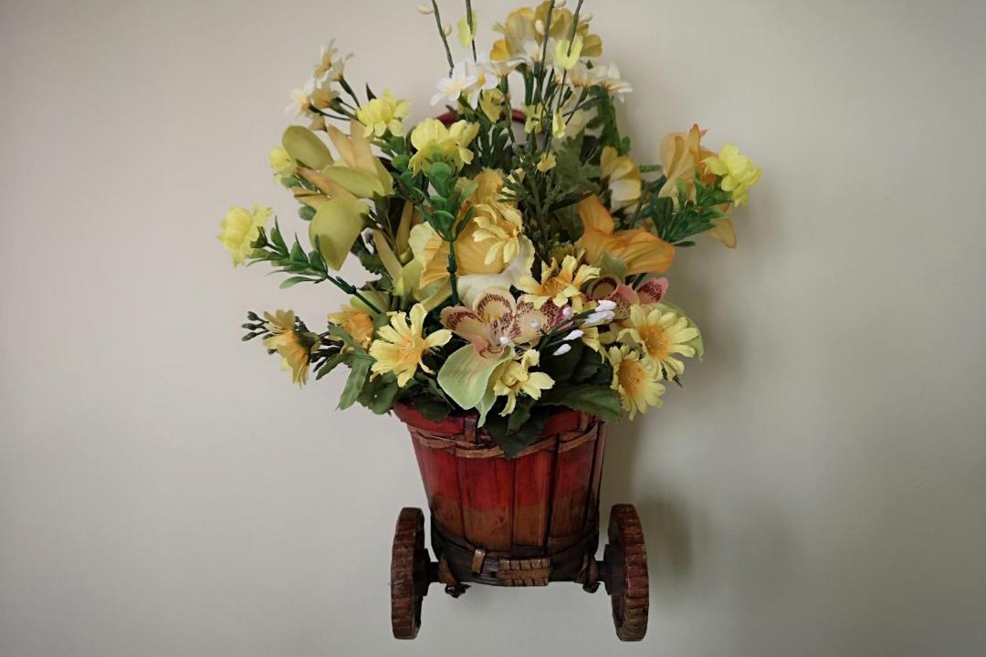 Photo of Others in Carnot