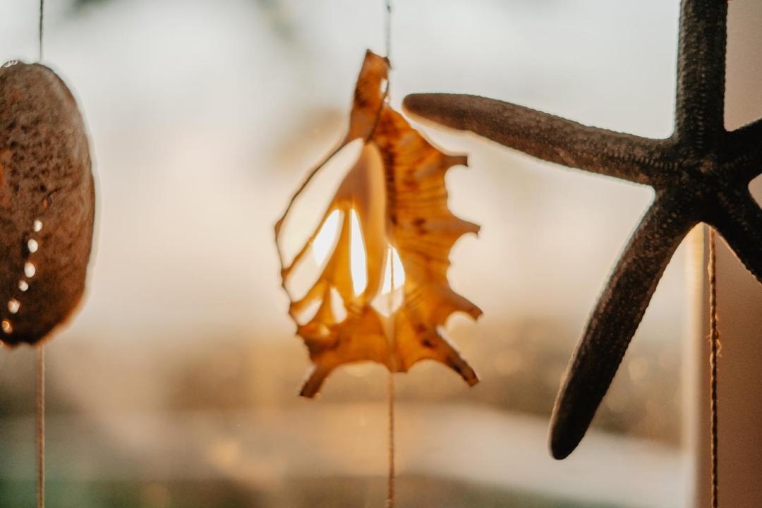 Photo of Others in Bude