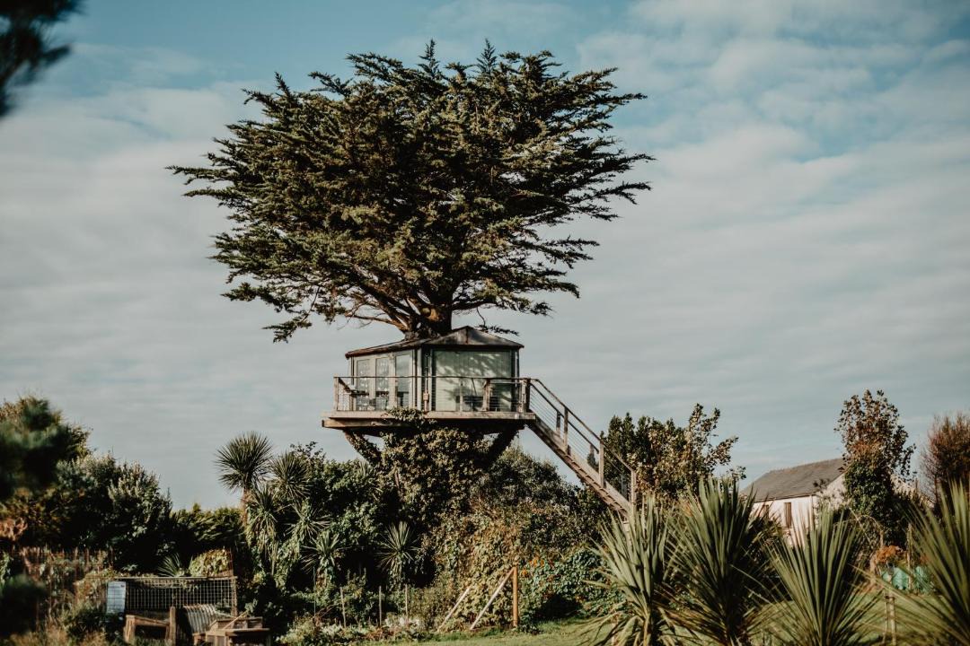 Photo of Others in Bude