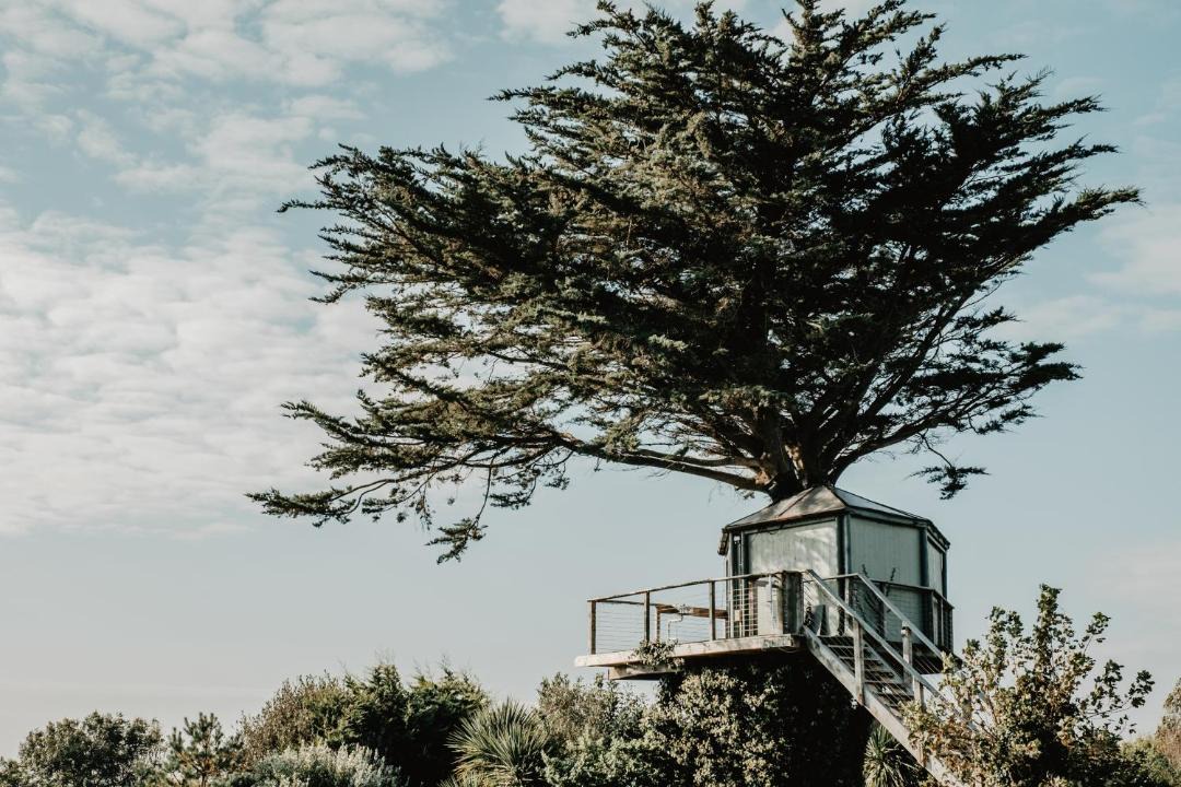 Photo of Buildings in Bude
