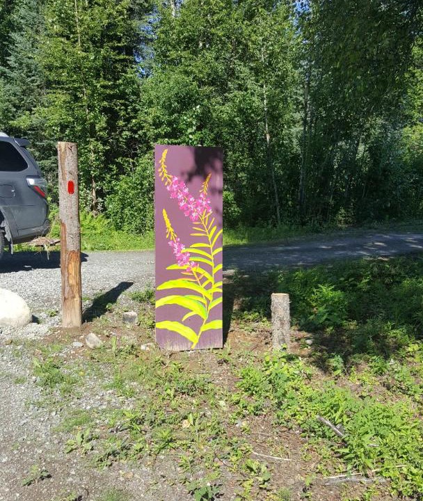 Photo of Others in Talkeetna