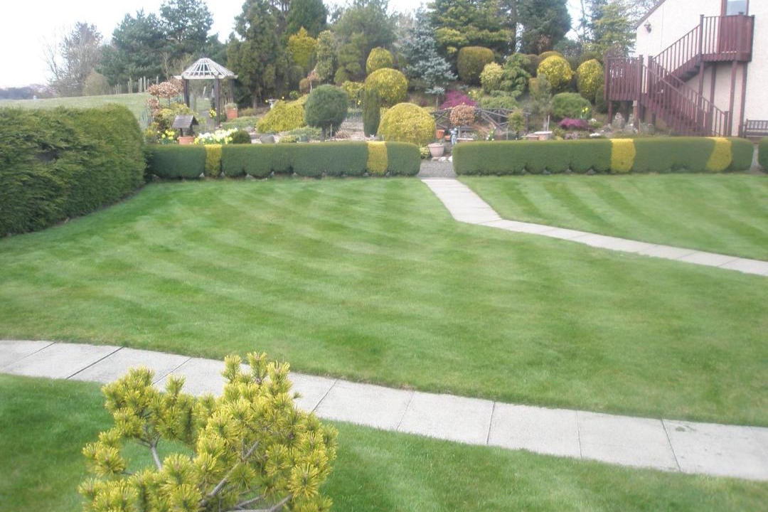 Photo of Others in Livingston