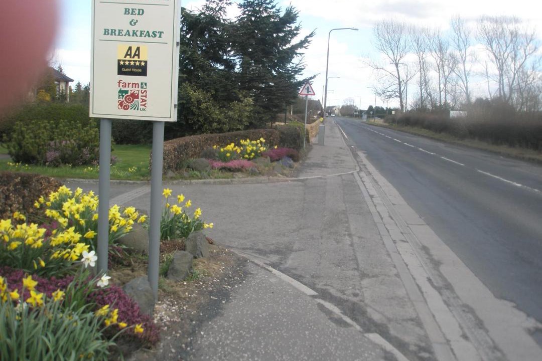 Photo of Buildings in Livingston