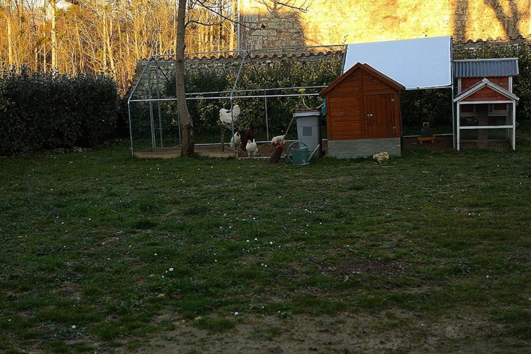 Photo of Others in Grandjean