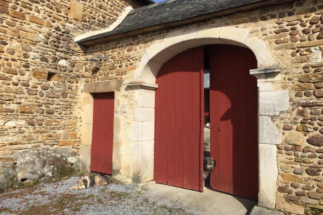 Photo of Buildings in Ledeuix