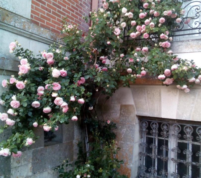 Photo of Others in Valencisse