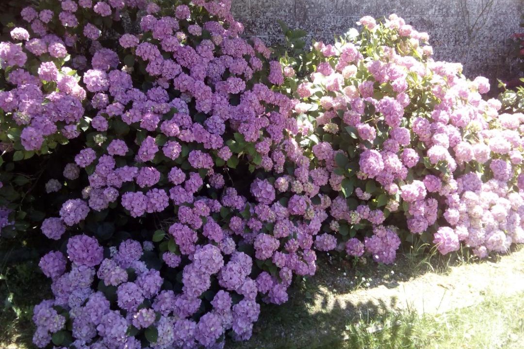 Photo of Others in Valencisse