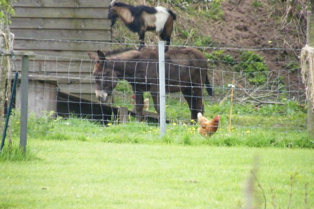 Photo of Buildings in Montaigu-les-Bois
