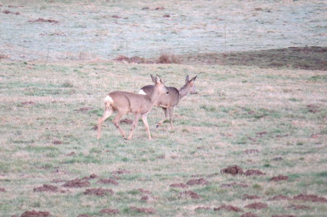 Photo of Others in Anould