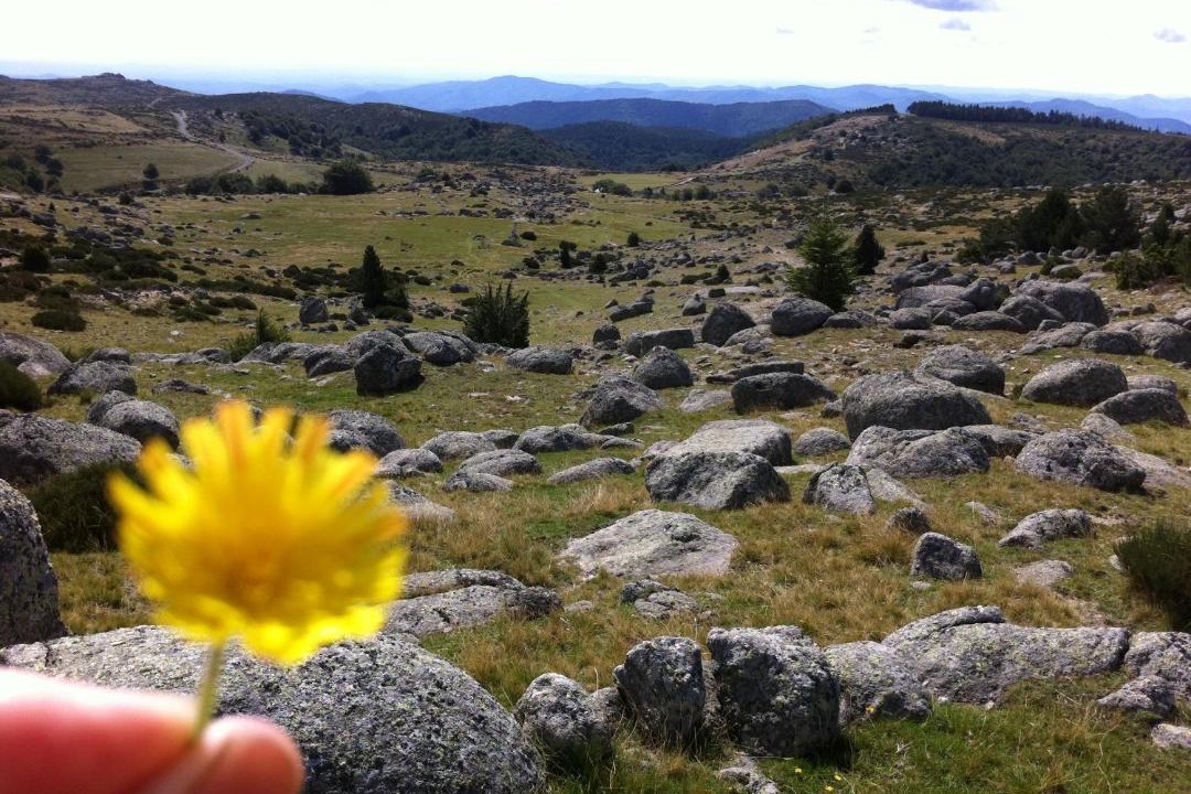 Photo of Outdoor in Villefort