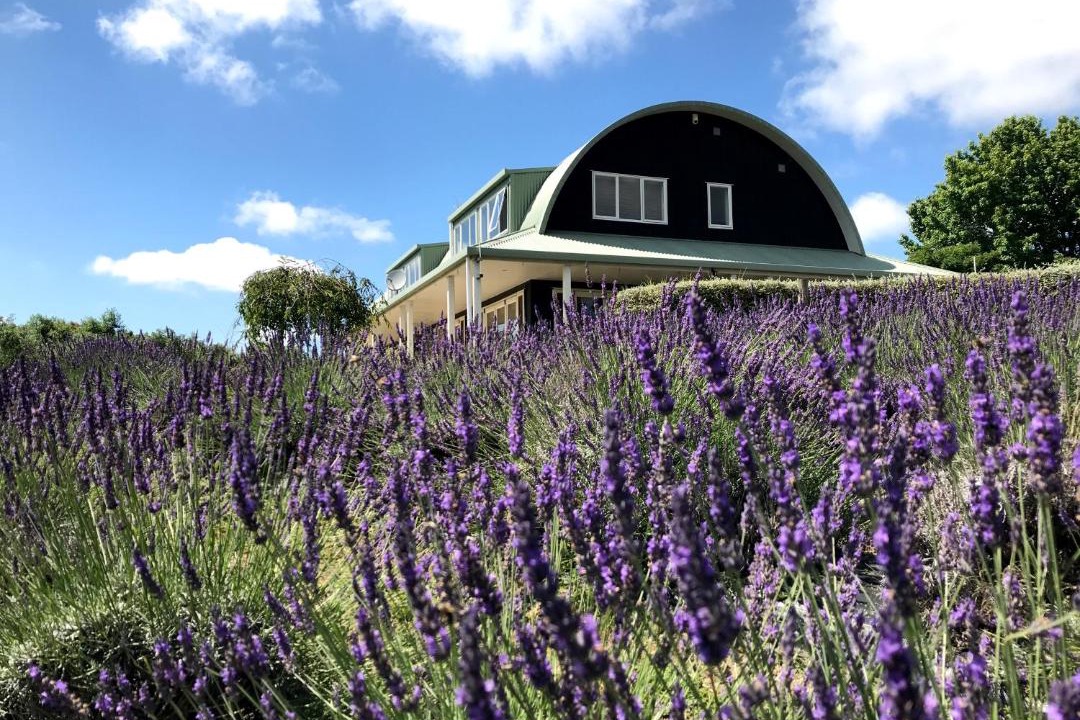 Photo of Others in Riverhead