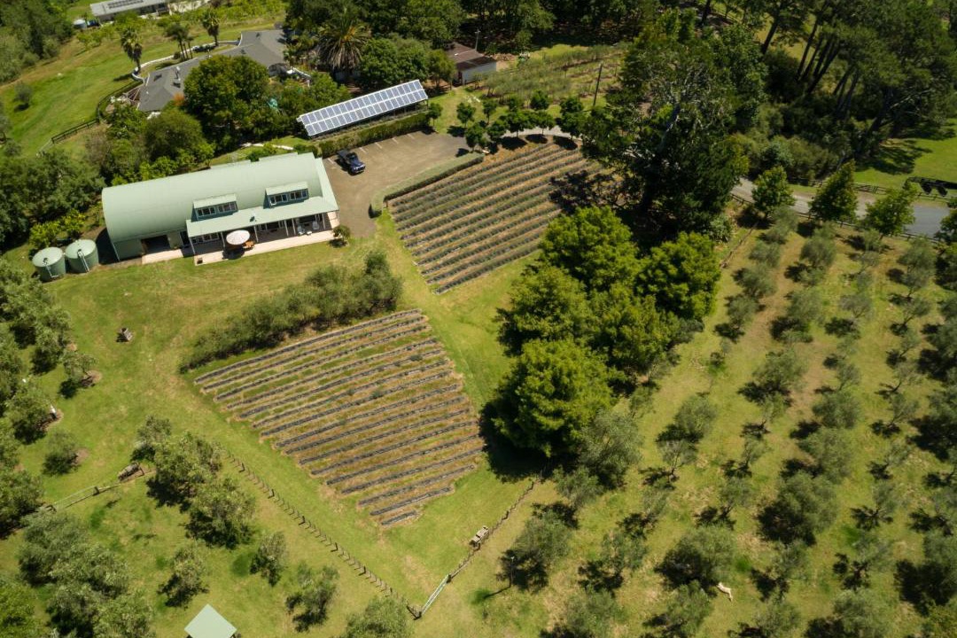 Photo of Others in Riverhead