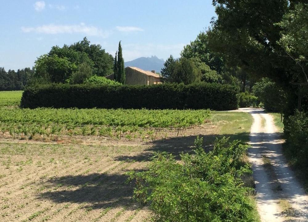 Photo of Others in Jonquieres