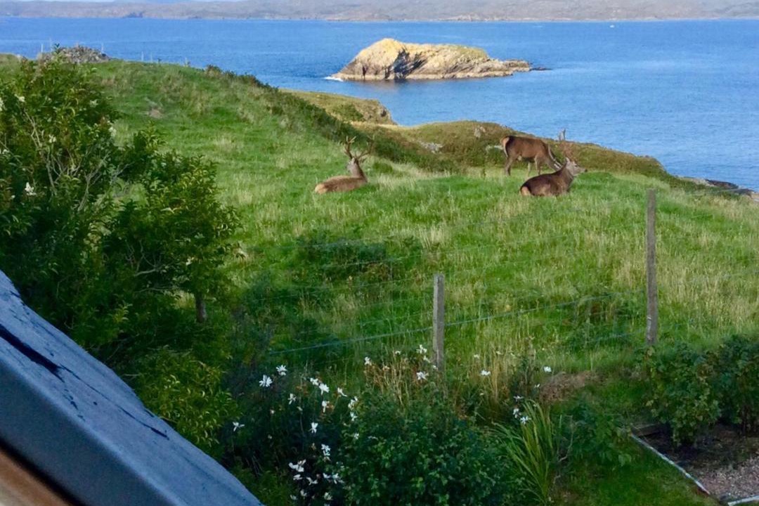 Photo of Others in Clachtoll