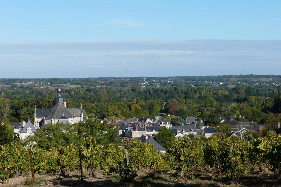 Photo of Others in Rochefort-sur-Loire