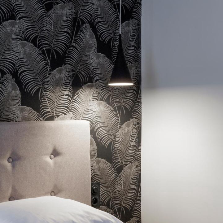 Photo of Others in Laval