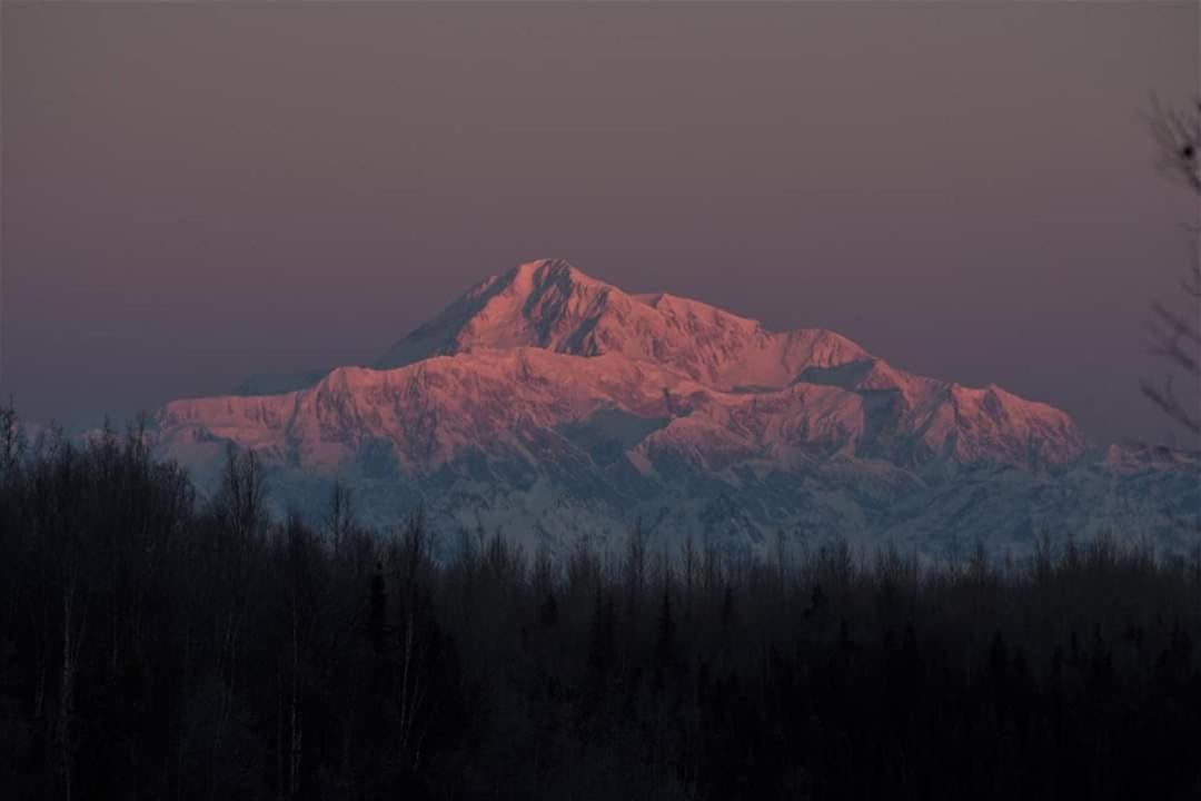 Photo of Others in Talkeetna