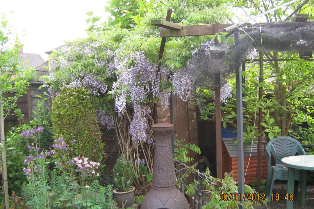 Photo of Others in Uttoxeter