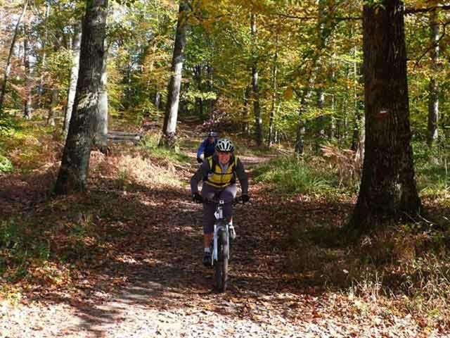 Photo of Others in Arbonne-la-Foret
