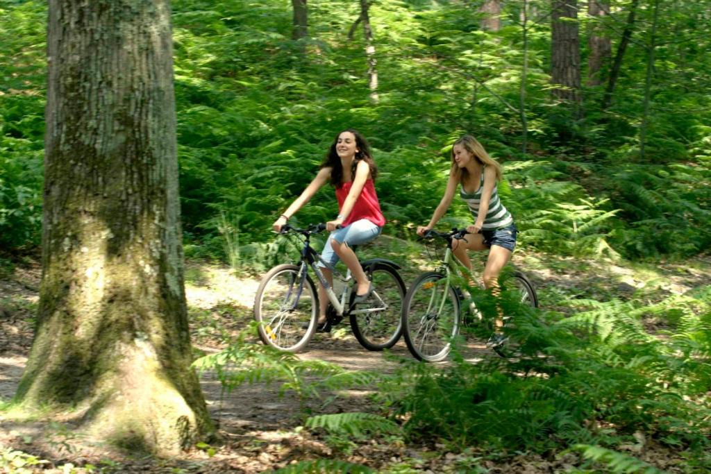 Photo of Others in Arbonne-la-Foret