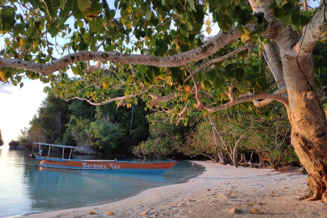 Photo of Others in Pulau Kadidi