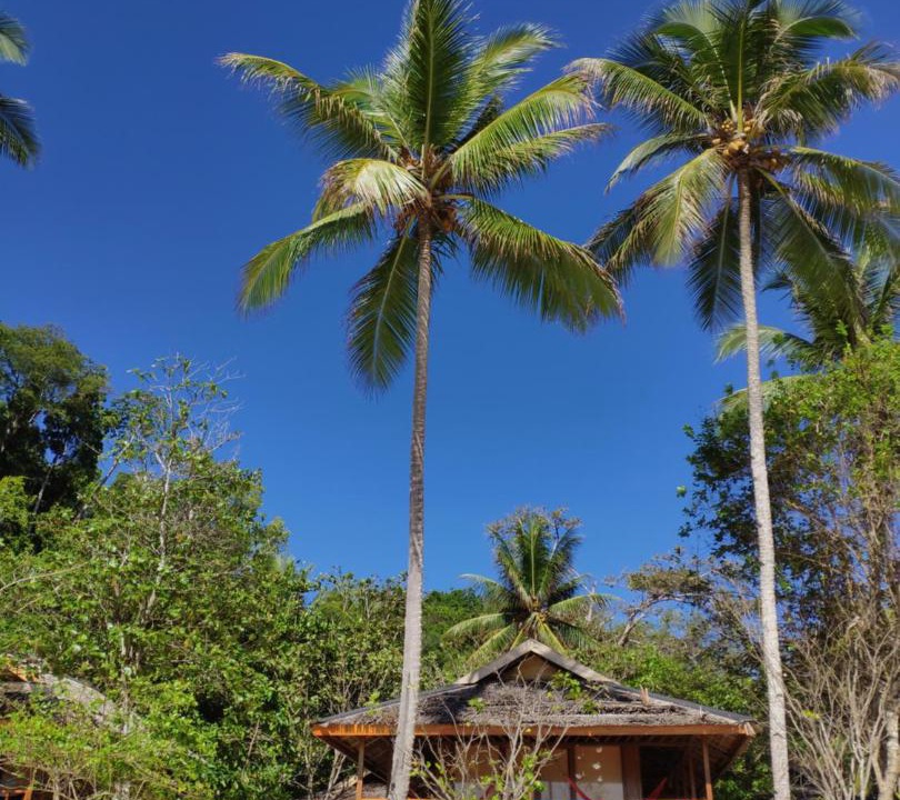 Photo of Others in Pulau Kadidi