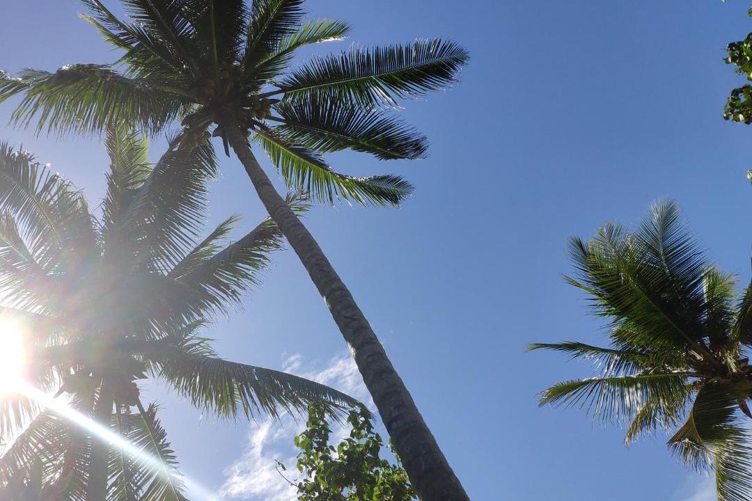 Photo of Others in Pulau Kadidi