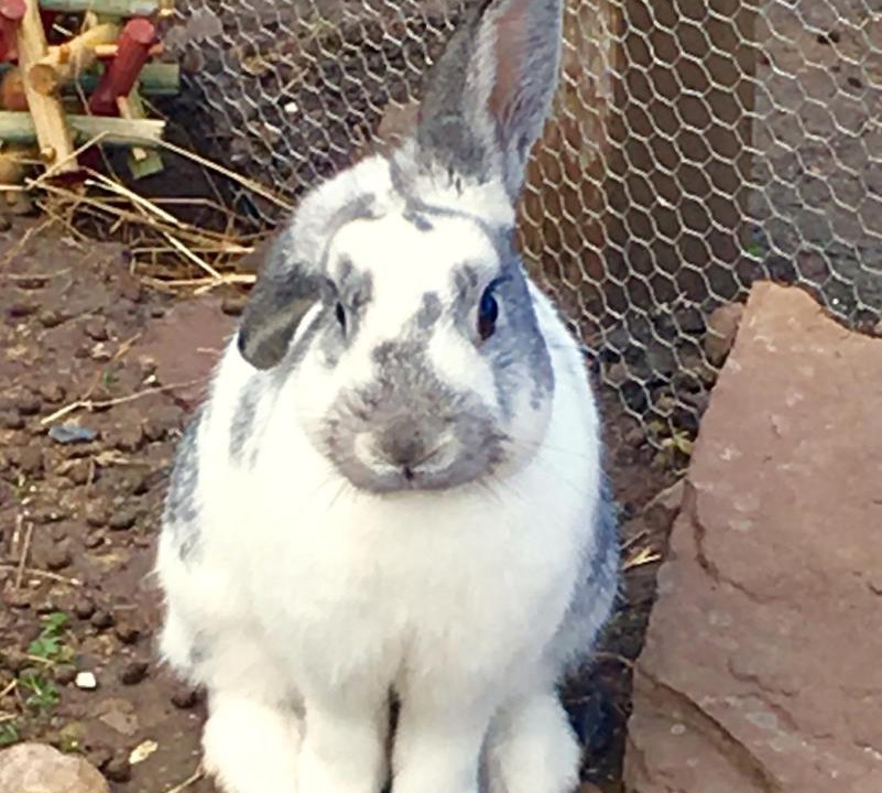 Photo of Others in John O'Groats