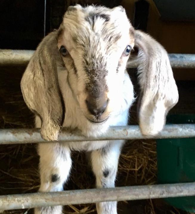 Photo of Others in John O'Groats