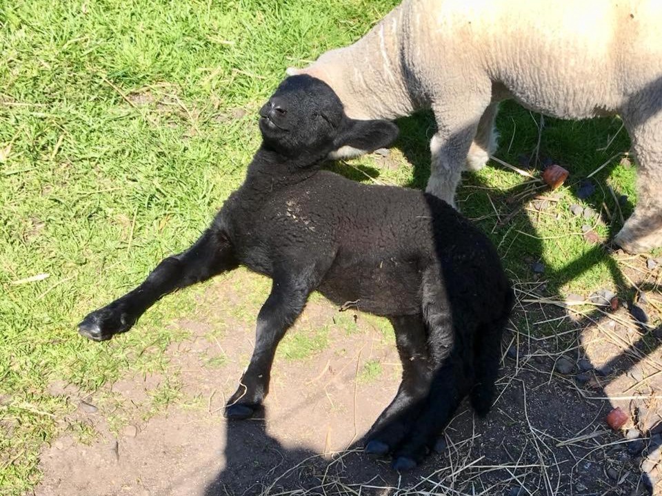 Photo of Others in John O'Groats