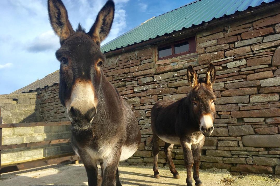 Photo of Others in John O'Groats