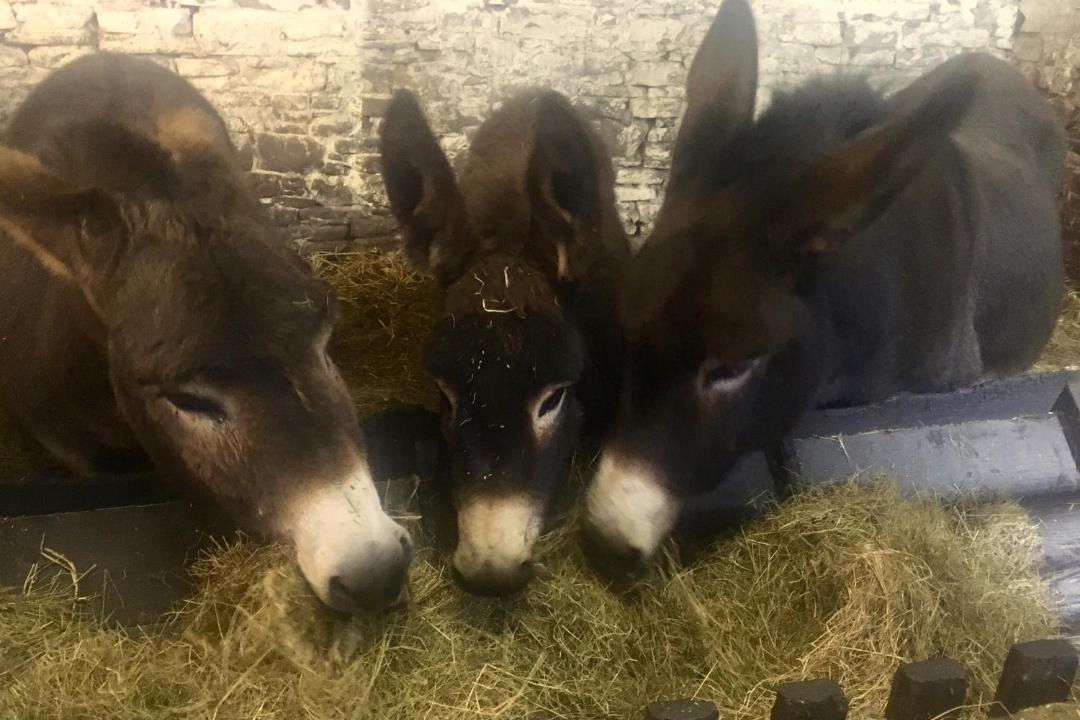 Photo of Others in John O'Groats
